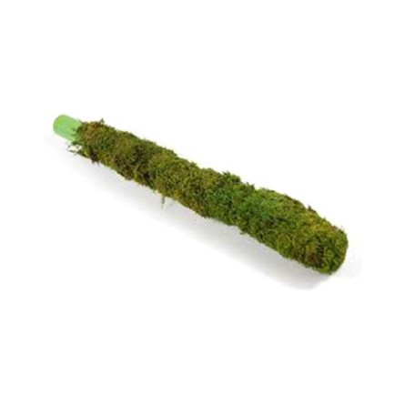 Moss Stick 3F (90cm)